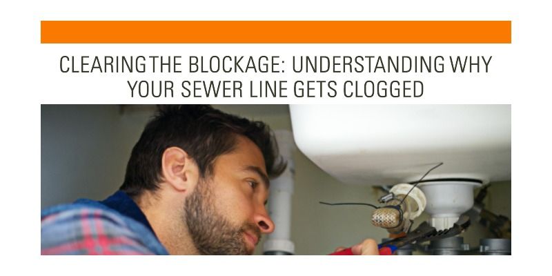 Prevent Sewer Line Clogs: Common Causes & Tips for Homeowners | Expert Maintenance Solutions