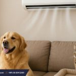 Top Air Conditioner Hacks for Pet Owners